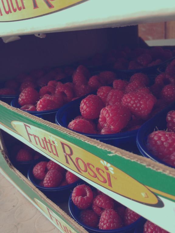 Agriturismo Fruttirossi Trofarello Zewnętrze zdjęcie