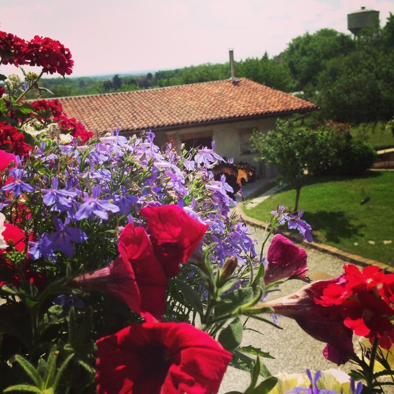 Agriturismo Fruttirossi Trofarello Zewnętrze zdjęcie